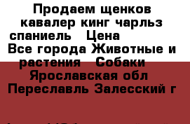 Продаем щенков кавалер кинг чарльз спаниель › Цена ­ 60 000 - Все города Животные и растения » Собаки   . Ярославская обл.,Переславль-Залесский г.